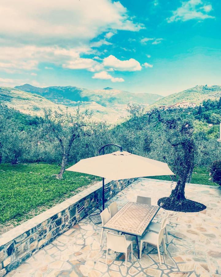 Casa Vacanze Gli Ulivi Borgomaro Exterior photo