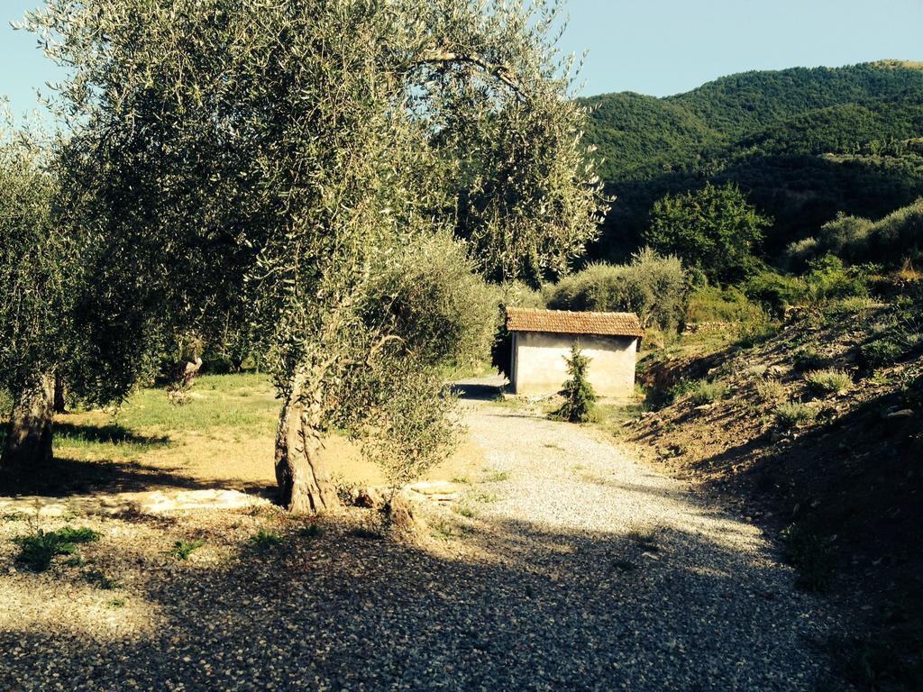 Casa Vacanze Gli Ulivi Borgomaro Room photo